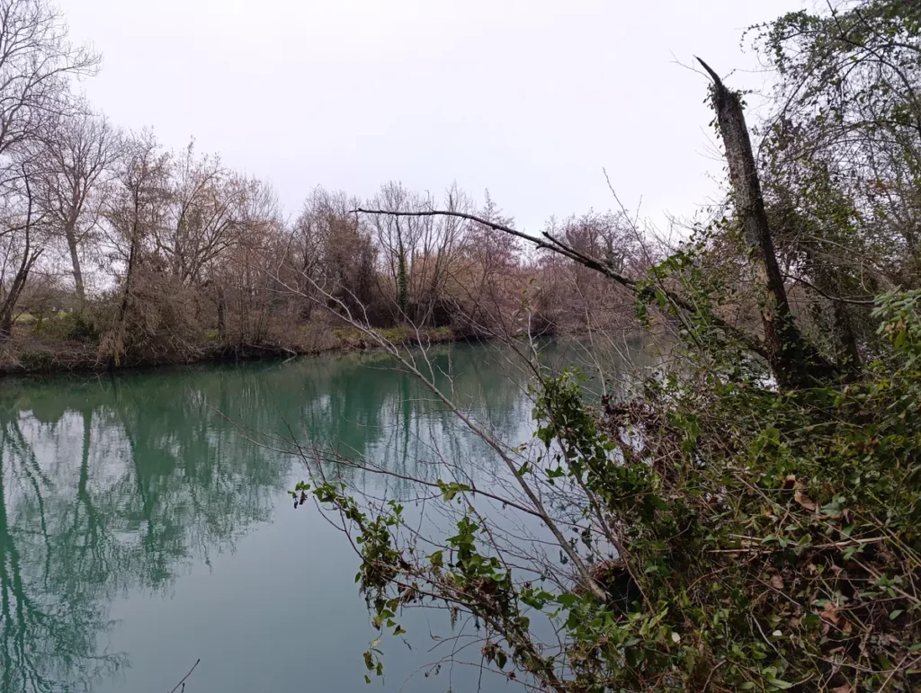 Photo depuis les berges d'un petit fleuve avec de la végétation de part et d'autre du cours d'eau. Des branches au premier plan sur la droite. Le ciel est gris et peu lumineux.