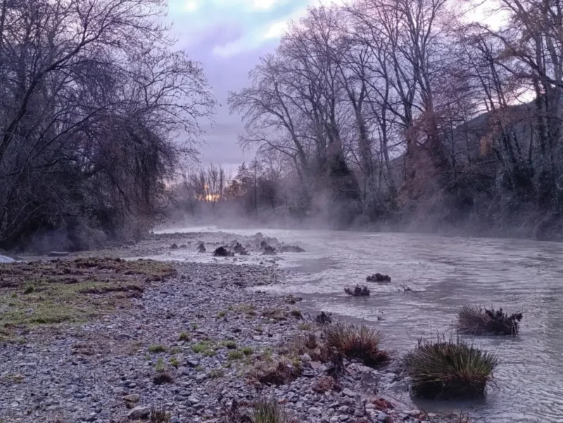 Photo de la berge d’un petit fleuve peu profond, avec un lit de galets et de graviers au premier plan. Des touffes d’herbes émergent près de la rive. Les rives sont bordées d’arbres sans feuilles. Une légère brume se forme au-dessus de l’eau, tandis que le ciel, visible à l’arrière-plan, présente des teintes pâles de bleu et de violet.