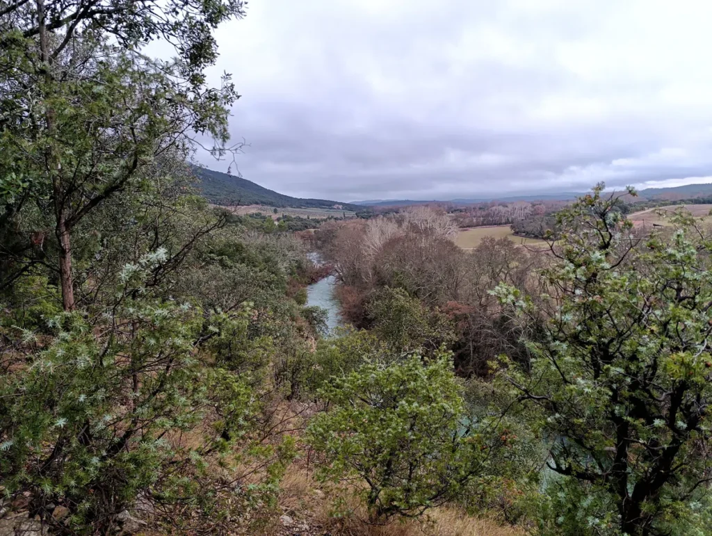 Photo prise des hauteurs. Un petit fleuve chemine dans une végétation hivernale et sous un ciel nuageux. Sur la gauche, on perçoit un petit massif.