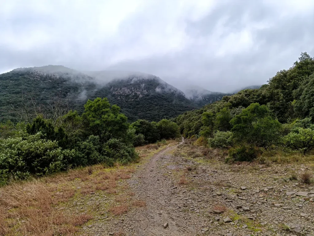 Photo. Au premier plan, un sentier dirige le regard vers un massif dont on ne perçoit pas le sommet, plongé dans les nuages.
