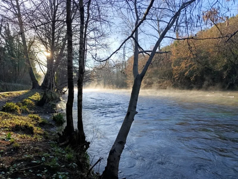 Des arbres dans le contre-jour d'une belle lumière matinale se découpent au premier plan. Les eaux tumultueuses d'un petit fleuve à gauche duquel passe un chemin à peine visible. Le ciel est dégagé et une légère brume survole le cours d'eau.