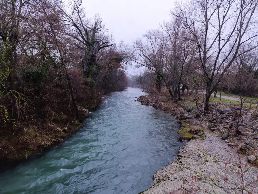 Photo d'un petit fleuve entouré de végétation dense, avec des arbres aux couleurs hivernales de part et d’autre dans une faible lumière matinale, sous un ciel très chargé de nuages. Au premier plan, sur la droite, on perçoit une dalle rocheuse qui plonge dans l'eau du Vidourle.