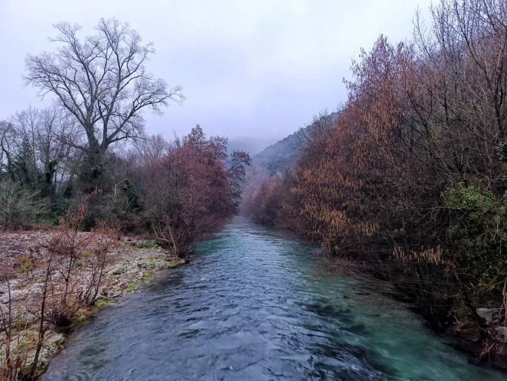 Photo d'un petit fleuve bordé d’arbres au pied d’un massif, avec des rochers au premier plan sur la gauche. Lumière du petit matin avec un ciel couvert. L'eau est tumultueuse avec une teinte verdâtre.
