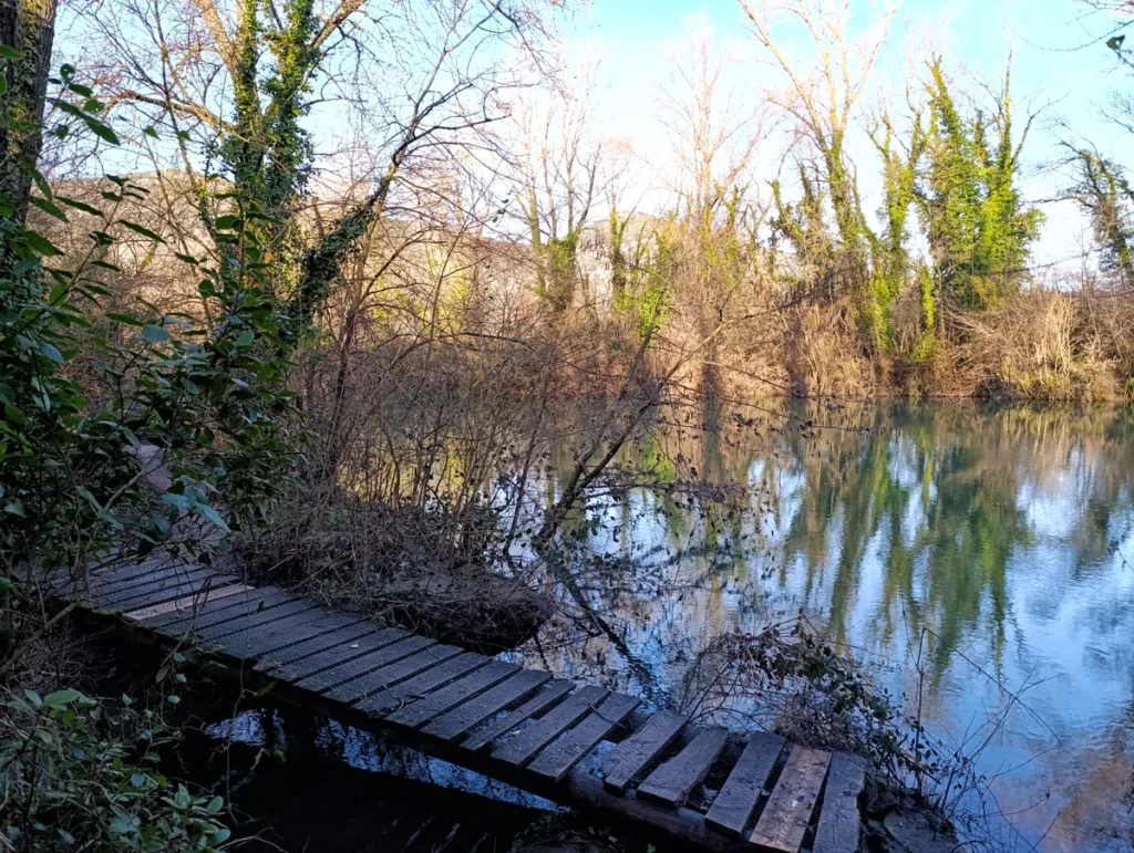 Photo. Au premier plan, à l'ombre des arbres, un ponton en bois le long d'un petit fleuve à l'eau calme, entouré de végétation dense et d'arbres sans feuilles sous un ciel ensoleillé.