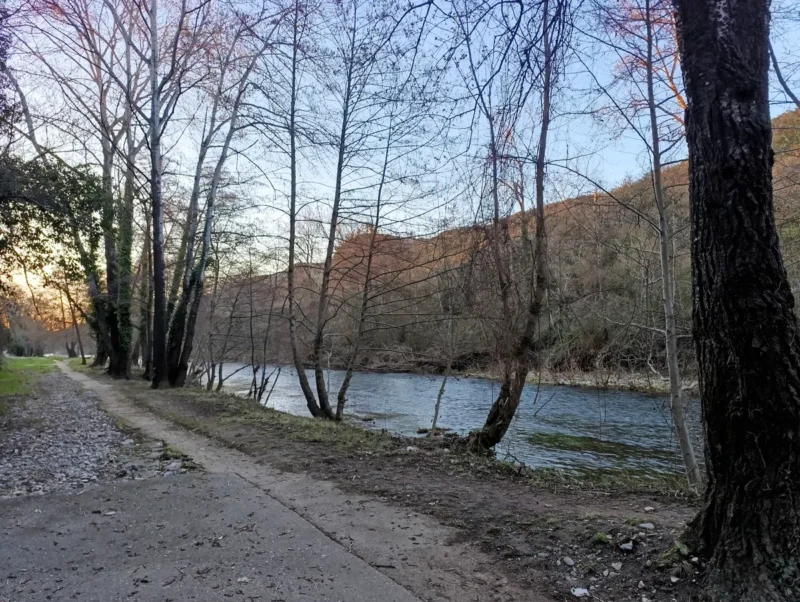Photo d'un chemin sur la rive gauche d'un petit fleuve. Entre le sentier et le cours d'eau, une rangée d'arbres sans feuilles. Le ciel est bleu dans une lumière matinale. Le soleil pointe au loin sur la gauche de l'image.