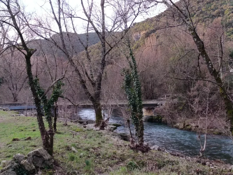 Photo. Au pied d'un massif karstique, derrière une rangée d'arbres dégarnis, un petit cours d'eau par-dessus lequel un pont de béton de faible hauteur.