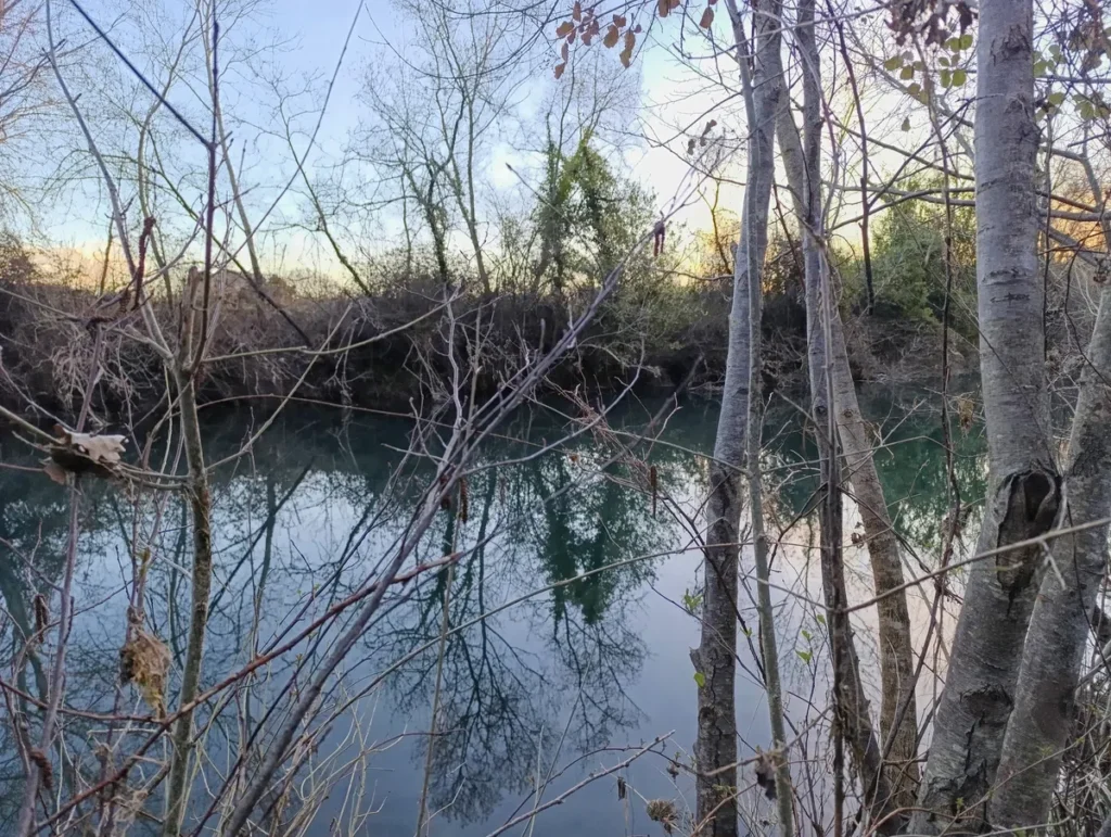 Derrière des branches d'arbres, un fleuve à l'eau calme dans lequel se reflète la végétation de a la rive opposée. Le ciel au-dessus est dégagé, dans une lumière matinale.