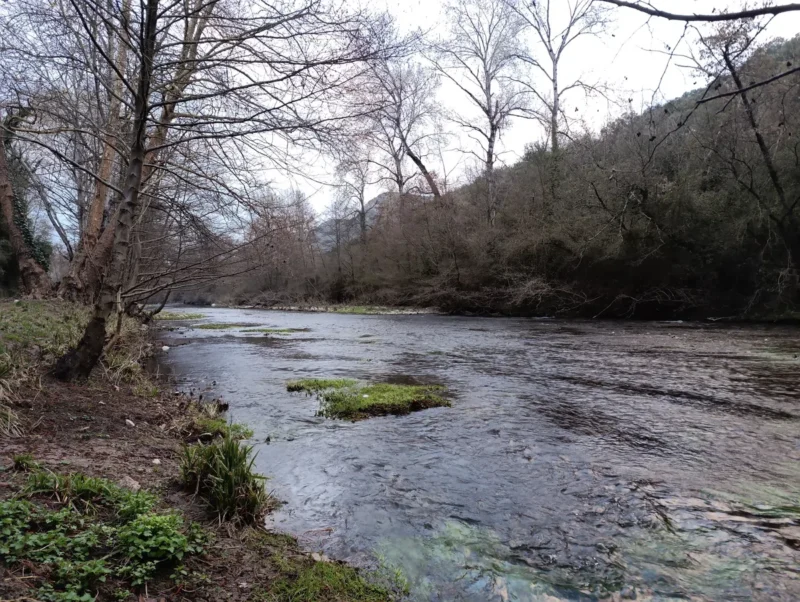 Sur les rives d'un petit fleuve. Sur la droite de la photo, des arbres se penchent au-dessus de cours d'eau. Le ciel est voilé dans une douce lumière matinale.