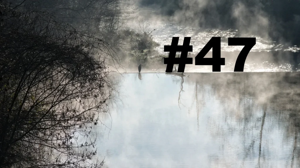 Un oiseau posé sur le bord d'une petite cascade sur un cours d'eau. Un arbre sur la gauche. Au-dessus de l'eau, des brumes de vapeurs. L'eau au premier plan semble sans mouvement, tandis qu'après la cascade le cours d'eau se transforme en torrent. Sur la droite le numéro de la chronique précédé d'un dièse.
