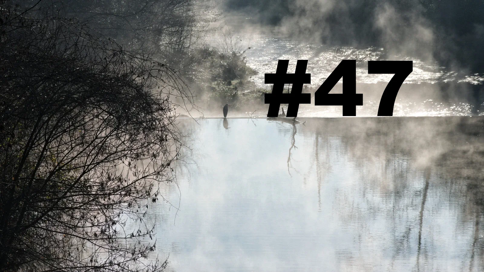 Chroniques du Gard #47