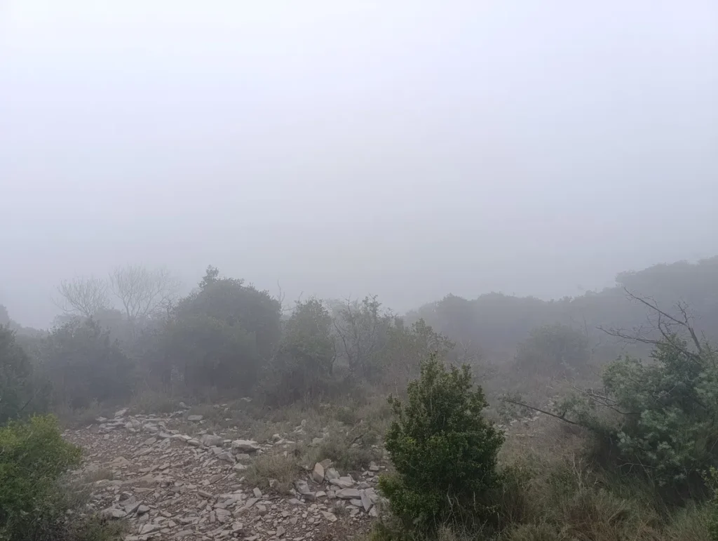 Un bout de sentier au premier plan qui s'enfonce dans une végétation basse. La brume rend la visibilité difficile.