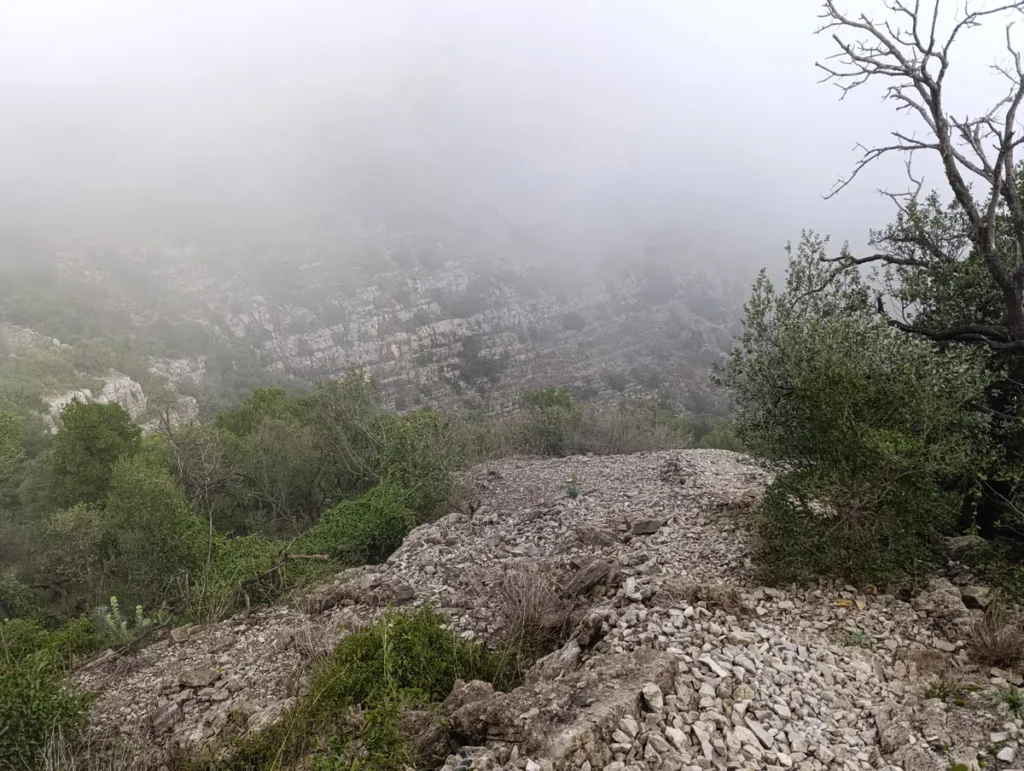 Photo dans un ravin noyé dans la brume. On perçoit des falaises. La végétation est basse, avec un petit chêne sur la gauche de l'image.