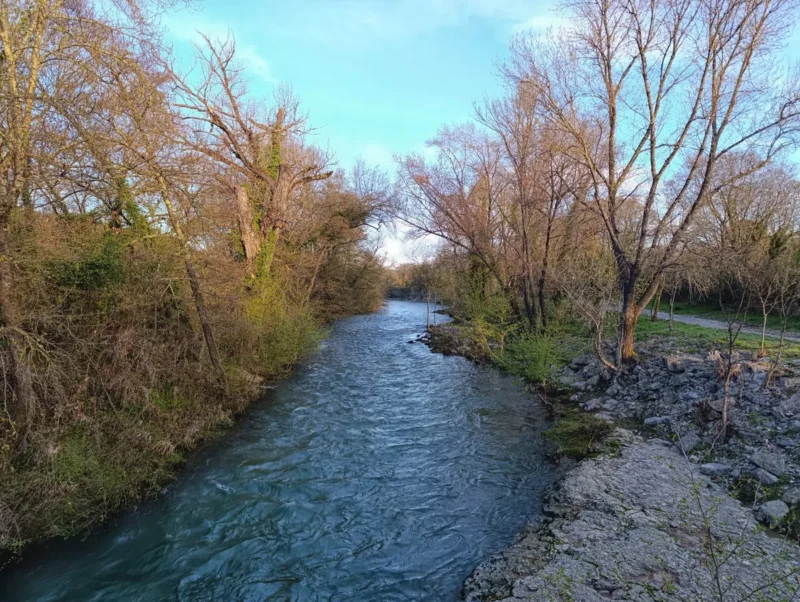 Photo d'un petit fleuve entouré de végétation dense, avec des arbres aux couleurs hivernales de part et d’autre dans une lumière matinale, sous un ciel bleu piqué de quelques nuages. Au premier plan, sur la droite, on perçoit une dalle rocheuse qui plonge dans l'eau du Vidourle.