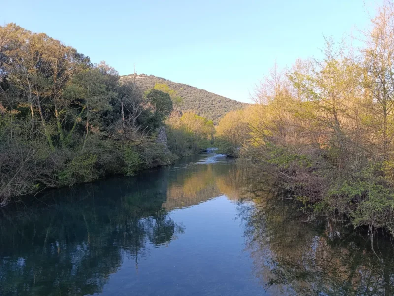 Photo d'un cours d'eau à l'eau calme entouré de végétation dense, avec des arbres encore en mode hivernal. Au loin, un petit massif karstique. Le tout sous un ciel bleu, dans une lumière matinale.