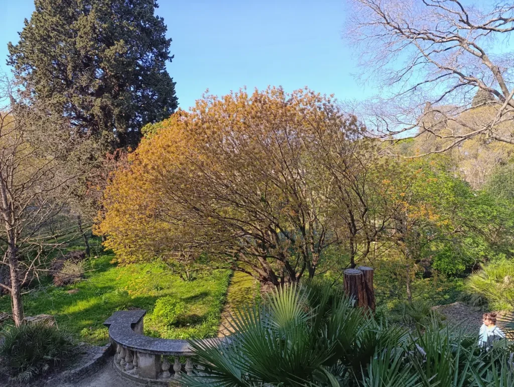 Photo d'un parc avec un parapet blanc en pierre en forme de demi-cercle, entouré d'arbres aux feuilles partiellement dorées, de plantes vertes et de souches coupées, sous un ciel bleu de printemps.