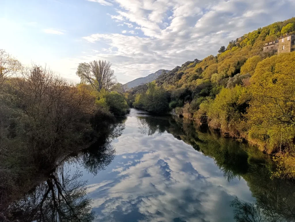 Un petit fleuve paisible et le reflet du ciel légèrement nuageux sur ses eaux. De part et d'autre, des rives arborées.