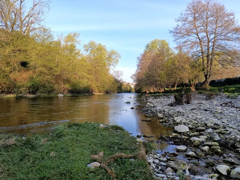 Photo d'un petit fleuve et de ses rives arborées. Au premier plan, une petite avancée d'herbe verte et des cailloux sur la rive. Au loin, on distingue à peine les maisons d'un village. Ciel bleu et douce lumière matinale.