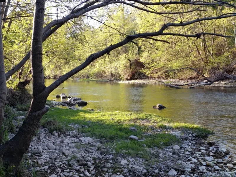 Photo d'un petit cours d'eau. Au premier plan, un peu d'herbe bien verte dans les premiers rayons de soleil, sous deux branches horizontales. À peine plus loin, l'eau du petit fleuve coule paisiblement.