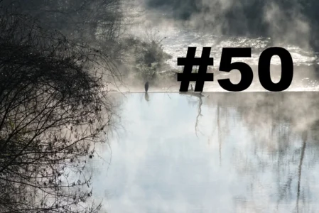 Chroniques du Gard #50 (et dernière)