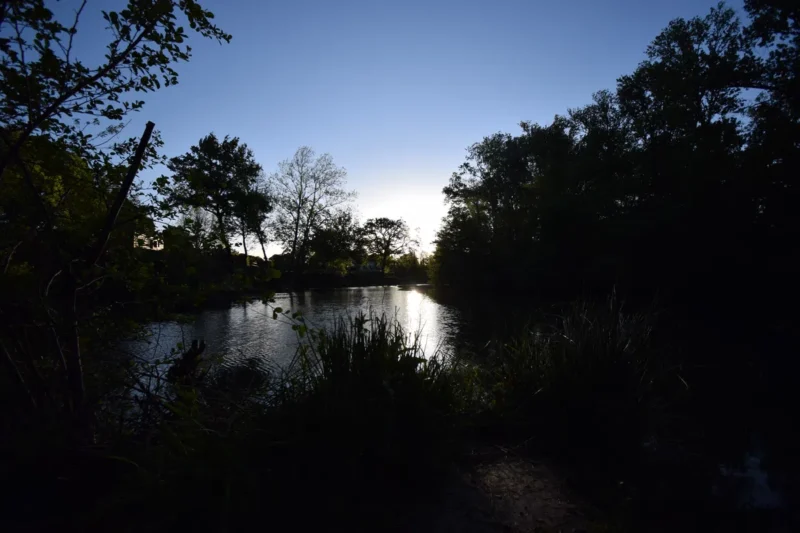Photo grand-angle d'un fleuve à l'eau paisible entouré d’arbres en contre-jour, avec la surface de l’eau reflétant la lumière basse du soleil. La végétation dense forme des silhouettes sombres au premier plan et sur les rives, tandis que le ciel est clair au-dessus de l’horizon.