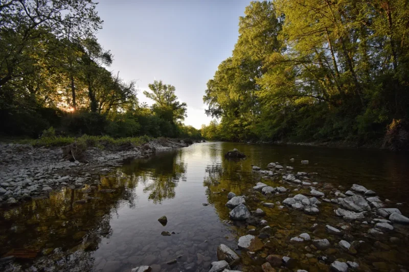 Photo d'un petit fleuve peu profond bordé de galets au premier plan, avec de l’eau claire laissant apparaître le fond. Des arbres encadrent les deux rives et se reflètent à la surface. La lumière basse du soleil traverse la végétation. Le tout sous un ciel dégagé.