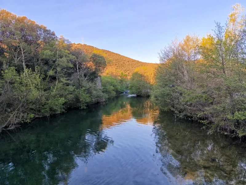 Photo d'un cours d'eau à l'eau calme entouré de végétation dense et d'arbres. Au loin, un petit massif karstique. Le tout sous un ciel bleu, dans une lumière matinale où seul le massif est illuminé.
