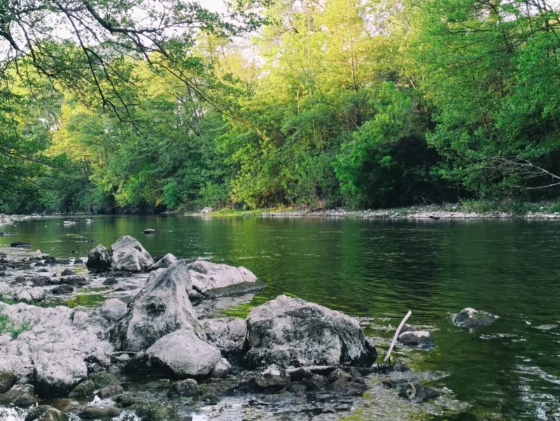 Photo d'un petit fleuve aux rives arborées dans la lumière du matin. Au premier plan, quelques roches dépassent de l'eau.