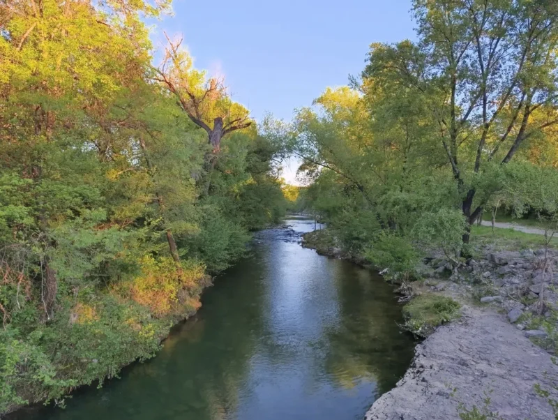 Photo d'un petit fleuve entouré de végétation dense, avec des arbres de part et d’autre dans une lumière matinale, sous un ciel bleu. Au premier plan, sur la droite, on perçoit une dalle rocheuse qui plonge dans l'eau du Vidourle.