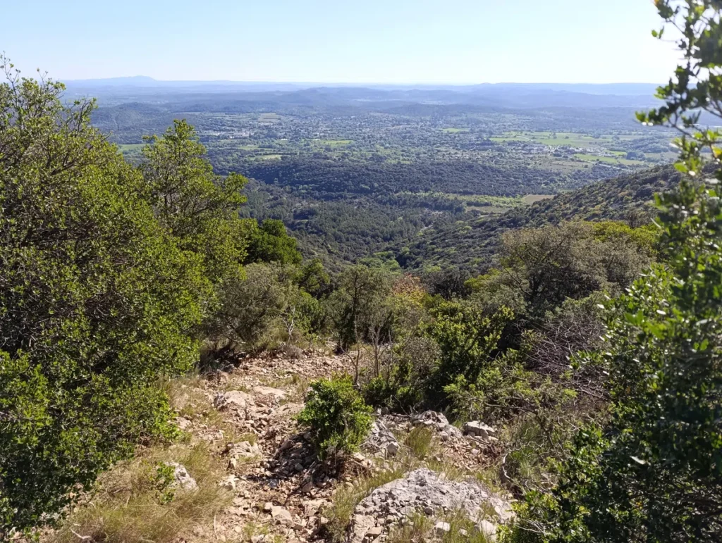 Photo prise depuis les hauteurs d'un massif à la végétation basse. La vue s'étend en contrebas sur la plaine. Le ciel est bleu, sans nuage.