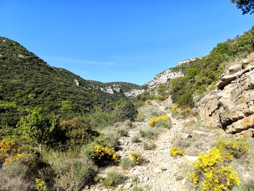 Photo prise depuis les hauteurs d'un massif à la végétation basse. La vue s'étend en contrebas sur la plaine. Le ciel est bleu, sans nuage.