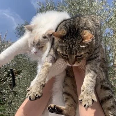 J-Christophe 🏉🇫🇷🚴