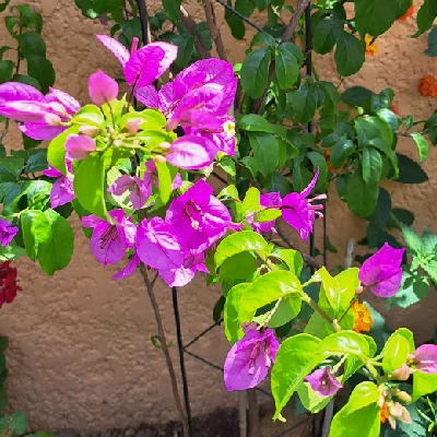 Ich ganz Privat 😷✔️