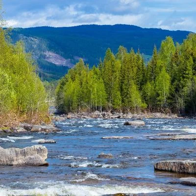 Avatar du commentaire